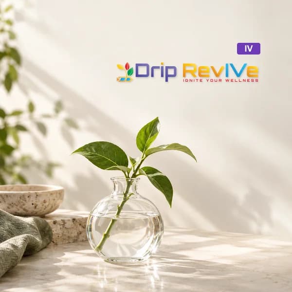 Energy illustrative service photograph with the Drip RevIVe logo